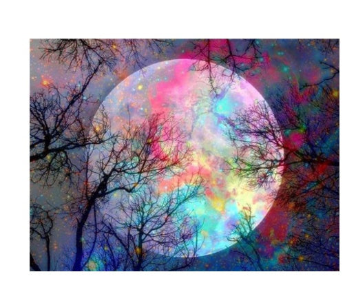 Moon Landscape & Tree Diamond Painting