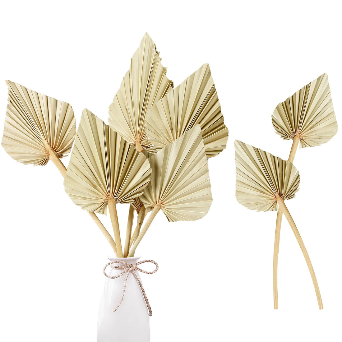 Boho Dried Palm Leaves — Set of 20