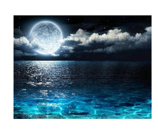 Moon Landscape & Tree Diamond Painting