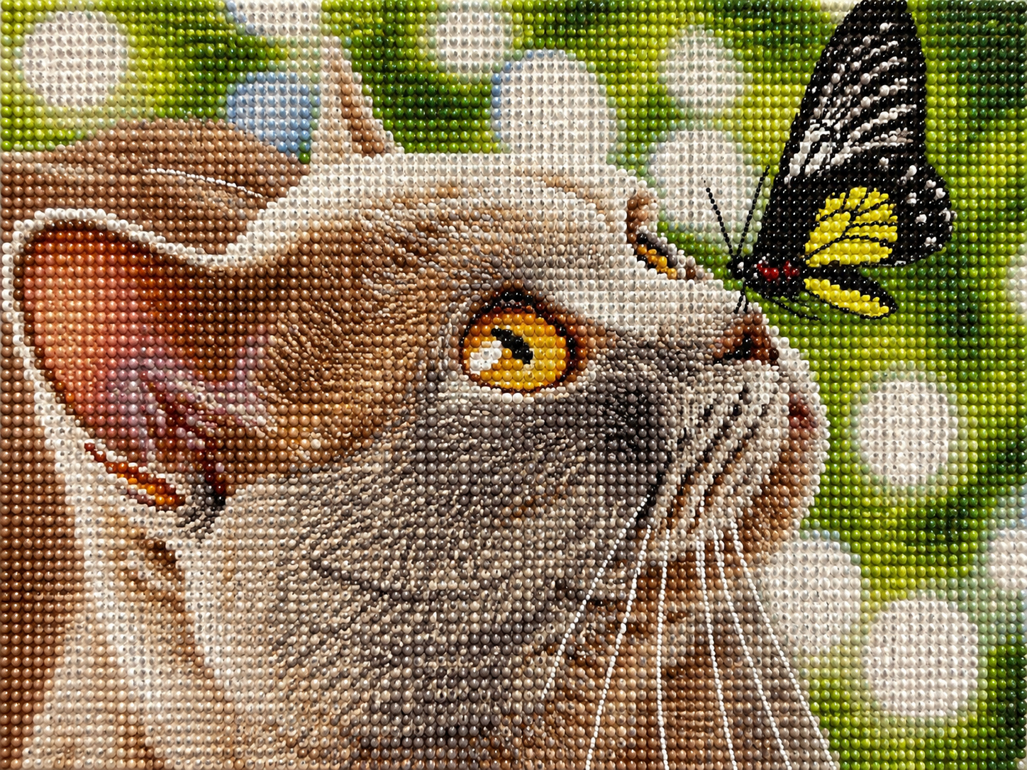 Grey cat and butterfly diamond painting kit close-up – sleek grey cat with warm amber eyes gazing at a bold black and yellow butterfly on its nose, soft white bokeh background, sparkling full drill 5D resin diamond texture — Azurra Shop