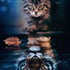 Cat and Tiger Reflection 5D diamond painting kit full drill DIY art Azurra Shop