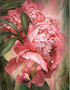 Peony & Butterfly Diamond Painting - 5D DIY Rhinestone Kit 12" x 16" Frameless | Azurra Shop