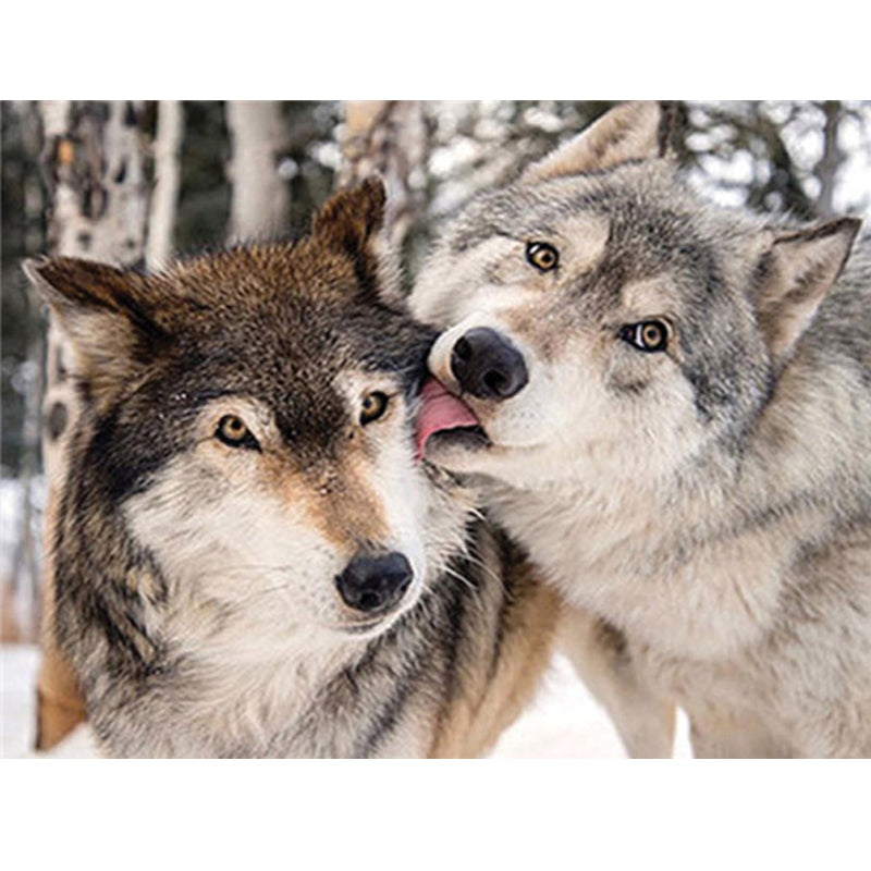 Wolves Kissing 5D diamond painting kit DIY art by Azurra Shop
