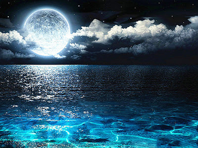 Moon &amp; Starry Sky Diamond Painting