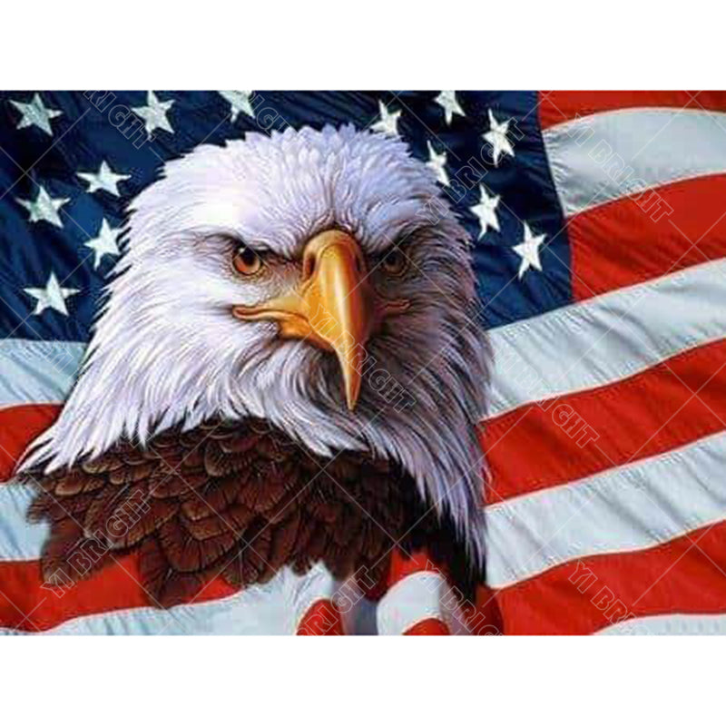 American eagle flag diamond painting kit – 12x16" patriotic USA wall art by Azurra Shop