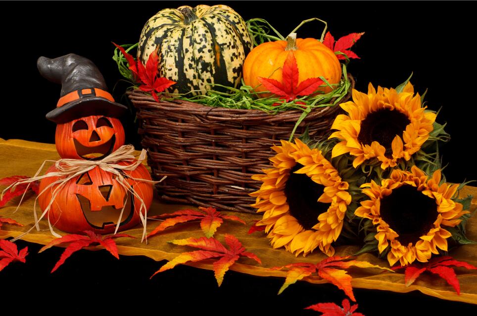 Halloween pumpkin and sunflower diamond painting kit – 12x16" festive fall seasonal wall art by Azurra Shop