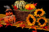Halloween pumpkin and sunflower diamond painting kit – 12x16" festive fall seasonal wall art by Azurra Shop