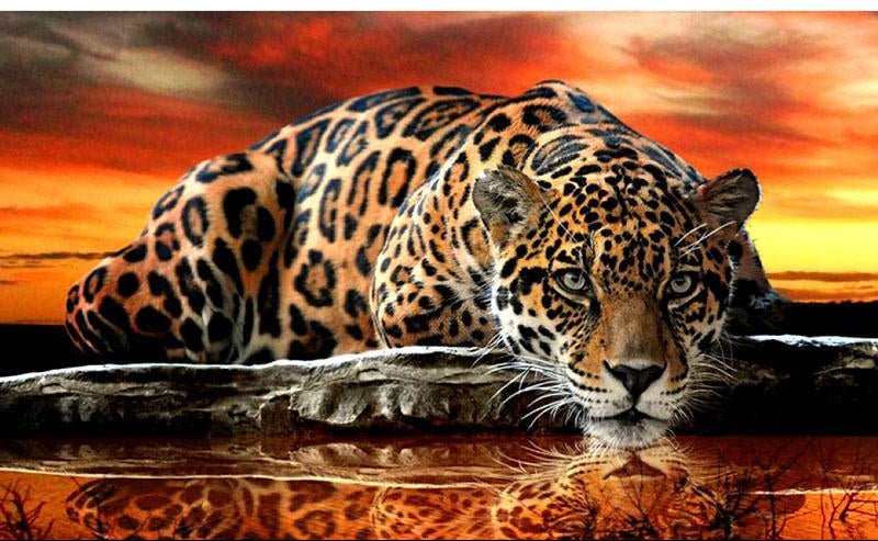 Leopard diamond painting kit – 12x16" to 20x24" bold wildlife animal wall art by Azurra Shop