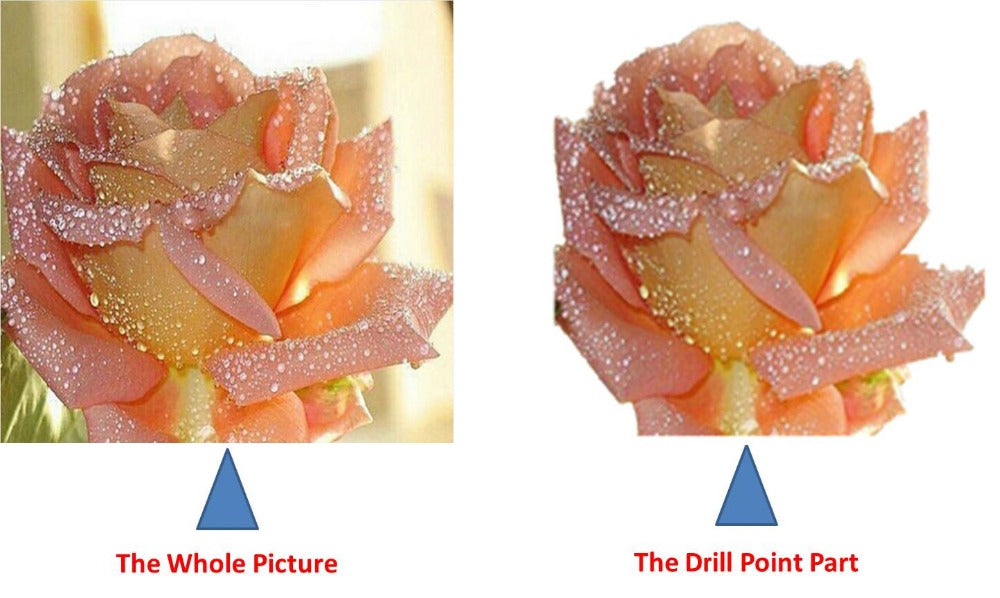 Pink Flower Diamond Painting