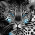 Black and White Leopard 5D diamond panting full drill DIY art by Azurra Shop