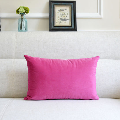 Sofa Velvet Throw Pillow — 12x20"