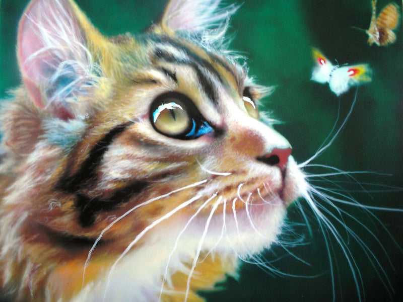 Brown Calico 5D diamond painting kit full drill DIY art by Azurra Shop