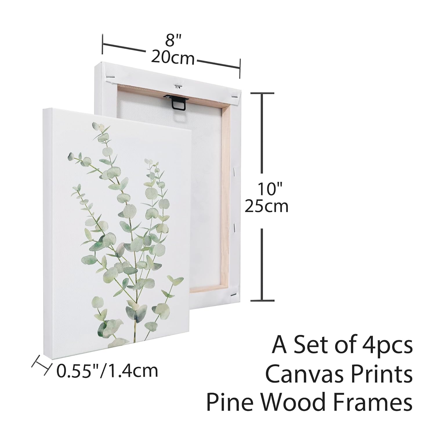 Botanical Plant Canvas Wall Art — Set of 4, Framed
