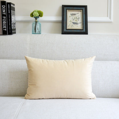 Sofa Velvet Throw Pillow — 12x20"