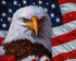 American Bald Eagle & US Flag Diamond Painting Kit – completed diamond art canvas showing fierce bald eagle with amber eyes against a sparkling red, white and blue American flag, full drill resin texture with star details — Azurra Shop
