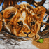 Baby lion cub diamond painting kit close-up – fluffy golden lion cub resting chin on a branch with soulful dark eyes, warm golden brown and cream fur, bright blue sky background, sparkling full drill 5D resin diamond texture — Azurra Shop
