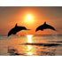 Dolphin diamond painting kit – 12x16" to 18x24" twilight ocean wildlife wall art by Azurra Shop