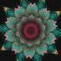 Floral mandala diamond painting kit – 12x12" and 16x16" botanical geometric art by Azurra Shop
