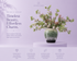 Dandelion & foxtail wildflower arrangement in azure ceramic vase on lavender pedestal — Azurra Shop
