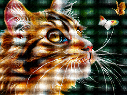 Brown calico tabby cat diamond painting kit close-up – grey tabby with amber eyes gazing upward at a striking black and yellow butterfly perched on its nose, soft green bokeh background, sparkling full drill 5D resin diamond texture — Azurra Shop
