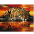 Jaguar crouched at fiery sunset diamond painting kit – intense leopard stalking at water&
