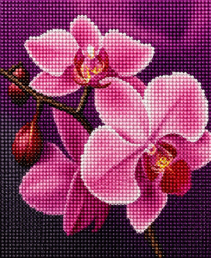 Finished pink orchid diamond painting with close up pink phalaenopsis orchid blooms on a deep purple background | Azurra Shop