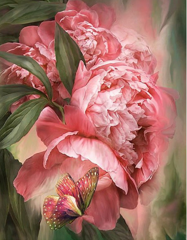 Peony &amp; Butterfly Diamond Painting