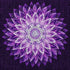 Finished purple star dahlia mandala diamond painting with white tipped purple petals radiating from a sparkling center | Azurra Shop