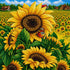 Finished sunflower field and butterfly diamond painting with large sunflowers, a butterfly, and a farm landscape background | Azurra Shop